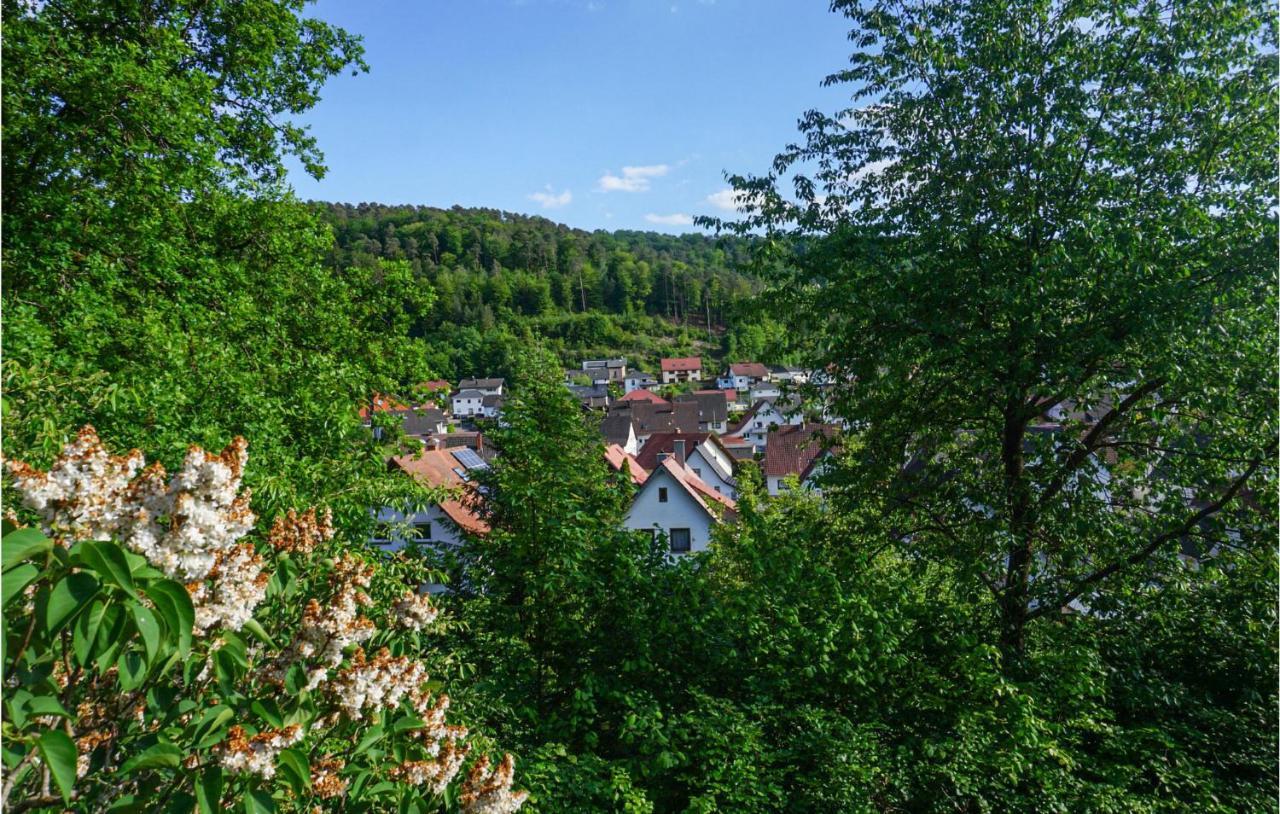 Cozy Apartment In Hinterweidenthal With Sauna Exterior photo